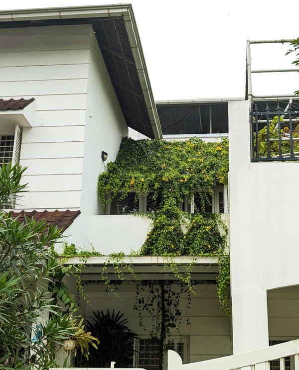 Exterior Glass House View
